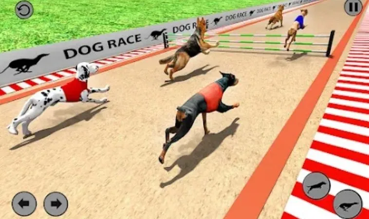 Giao diện chơi game nhanh Đua Chó 88Goals