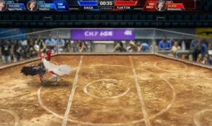 Đá Gà 3D Tại 88Goals