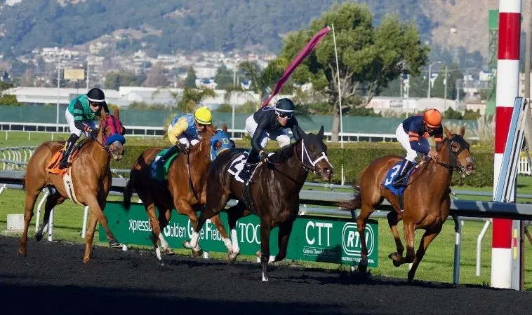 Cần tìm hiểu về bộ môn đua ngựa 88Goals trước khi cá cược